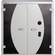 Chubb DPC Protection Cabinet 400W