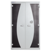 Chubb DPC Protection Cabinet 670