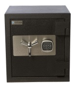 Platinum Director 2D